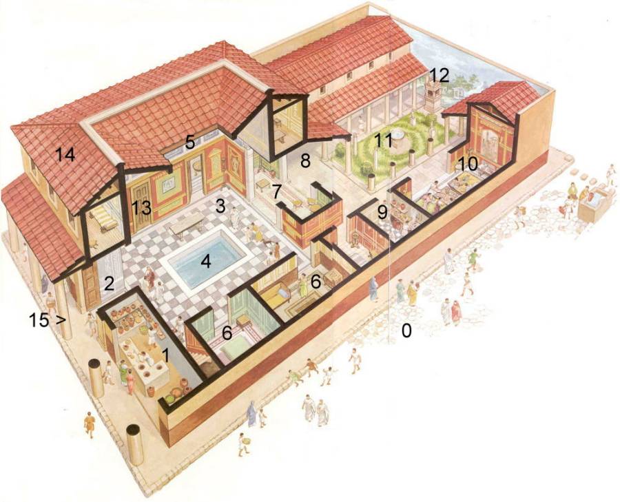 Dessin de la domus..jpg